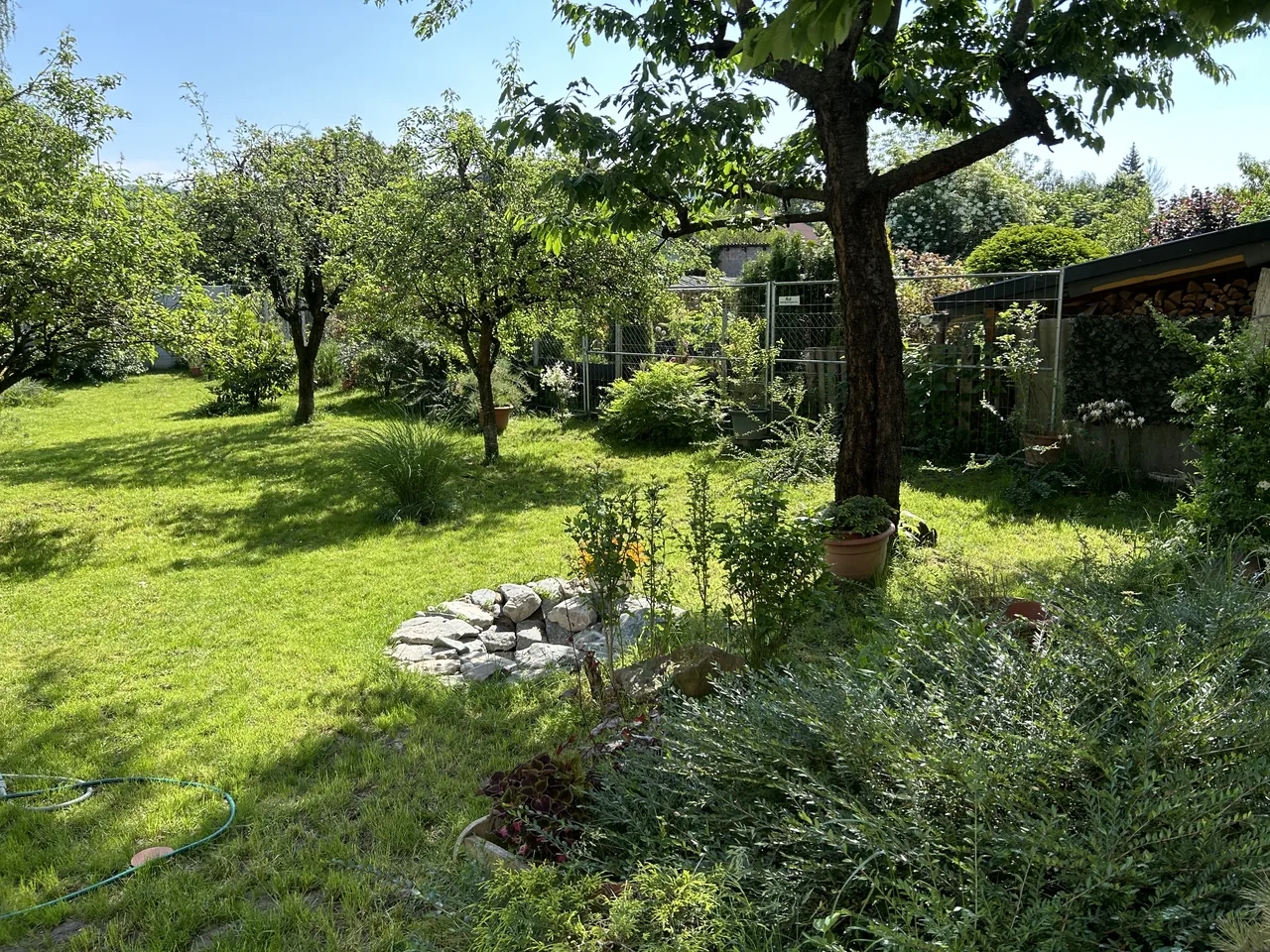 Green backyard at the guesthouse