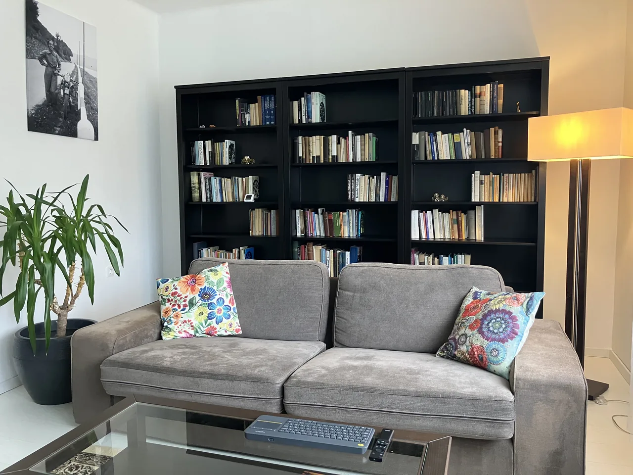 Sofa and bookshelves in the living room