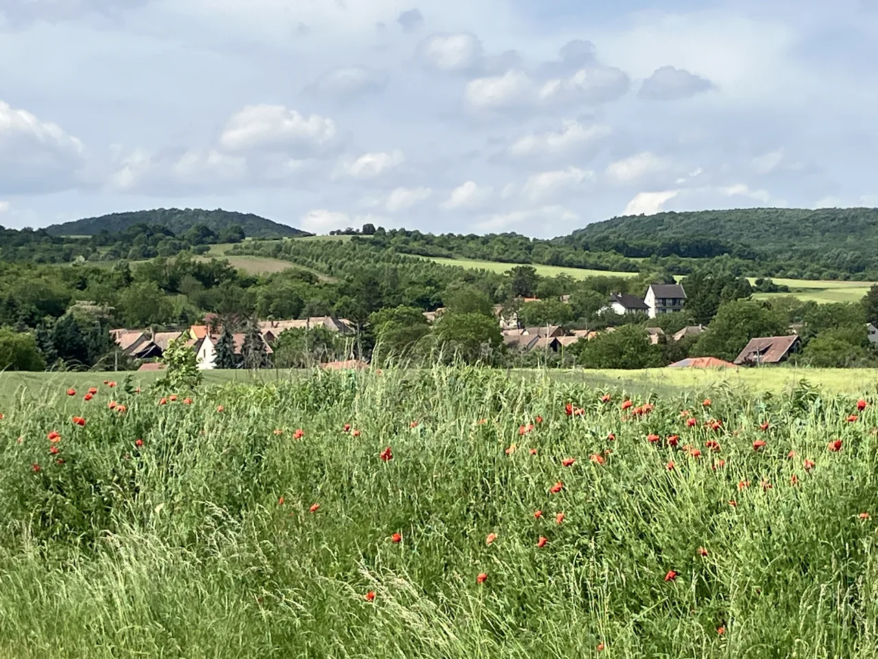 Pilismarót and the surrounding hills